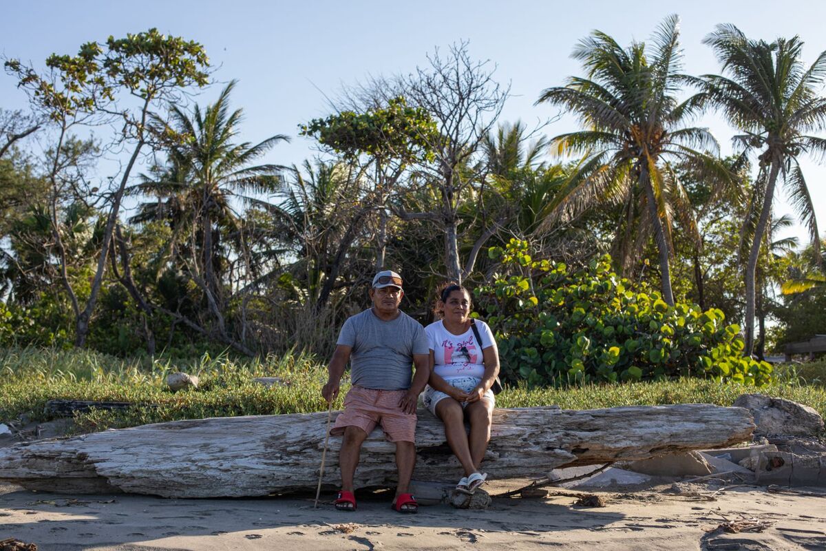 El Bosque se fundó hace 40 años, en 2007 comenzaron los primeros signos de erosión costera. | Greenpeace