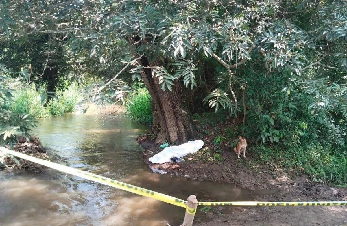 Las víctimas se resguardaron debajo de un árbol.