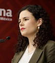 Esto luego de que legisladores morenistas han pedido juzgar a Téllez por traición a la patria y a ‘Alito’ por golpear y empujar a Noroña.