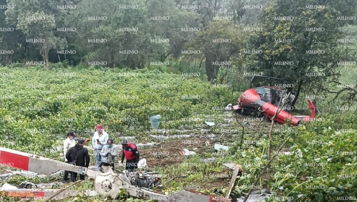 Se desploma aeronave. | Especial