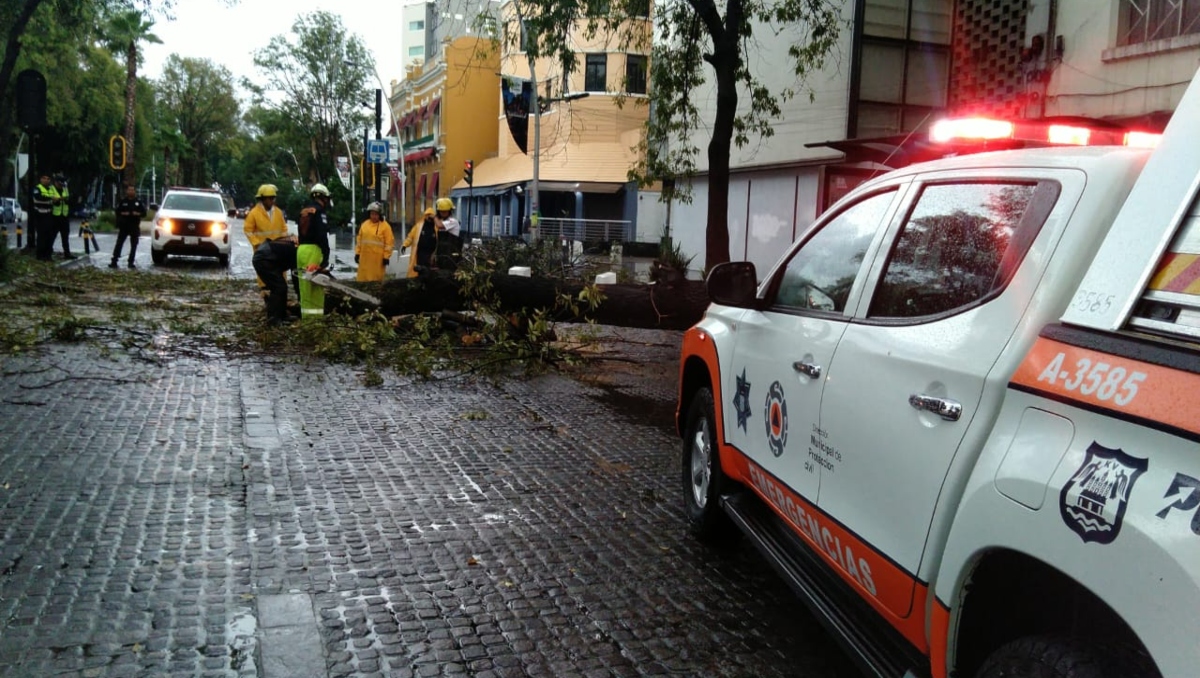 Luvia en Puebla deja inundaciones y caída de árbol hoy 3 de septiembre | Miguel Ceballos