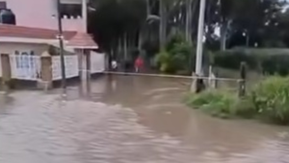 Uno de los bordos contemplados para el agua del ganado en los cerros de Jalpa se desplomó  y provocó una mayor caída de agua.