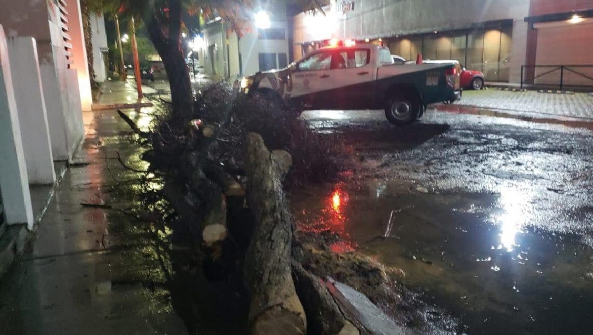 En Celaya, la tormenta sorprendió a la población con una precipitación que se prolongó por cerca de una hora.