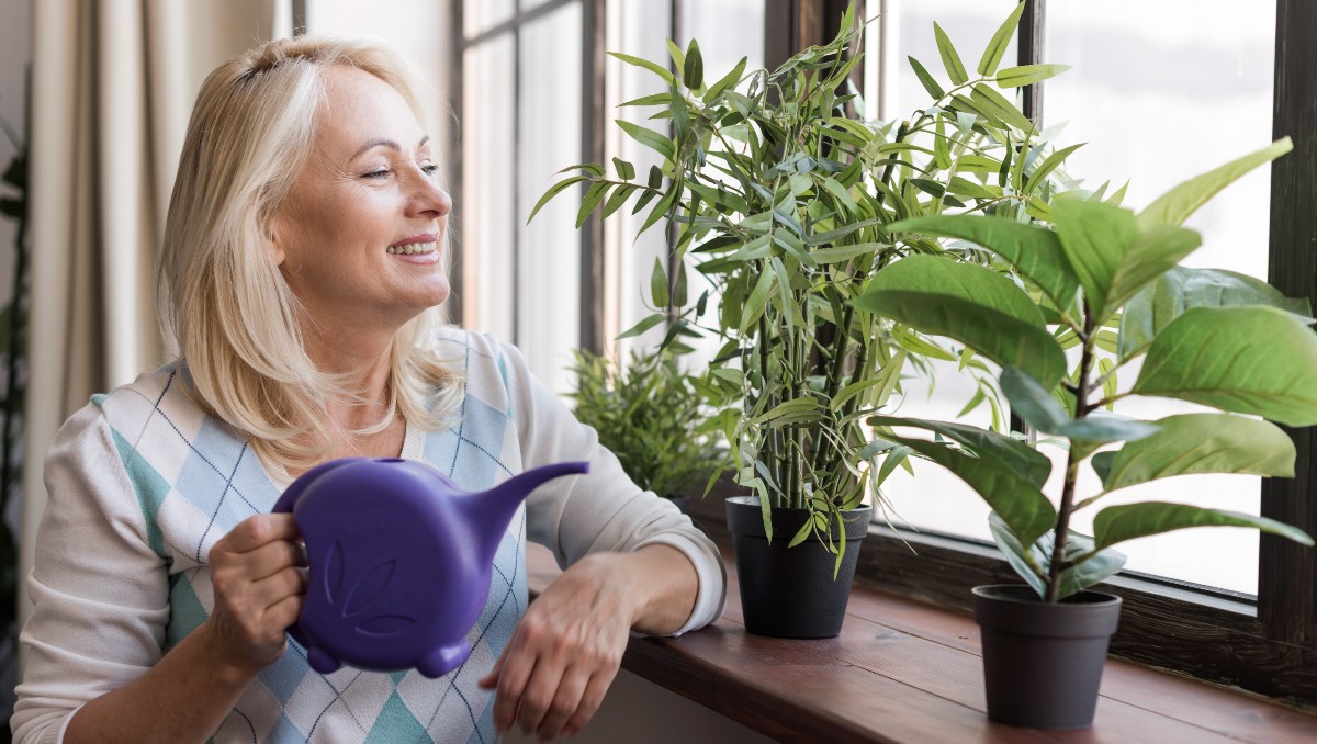 Diversos estudios han identificado los beneficios de las plantas de interiores a la salud física y psicológica del ser humano | Freepik