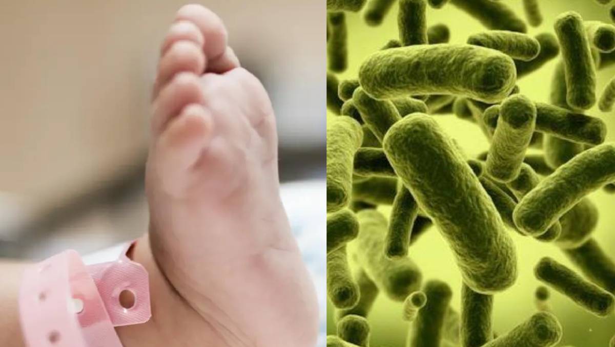 Bacteria Klebsiella oxytoca: A casi diez meses, los padres de familia del menor exigen justicia por este caso. Especial