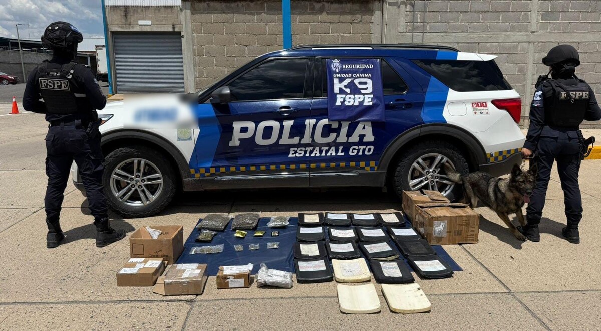 Los envíos tenían como remitentes y destinatarios a distintas personas de Guanajuato y otras entidades.