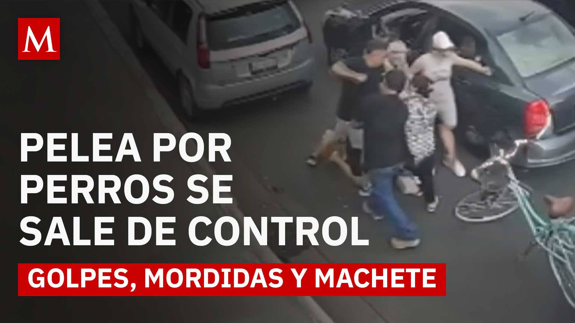 Con machete y combustible; riña entre familias en Tláhuac por una pelea entre perros