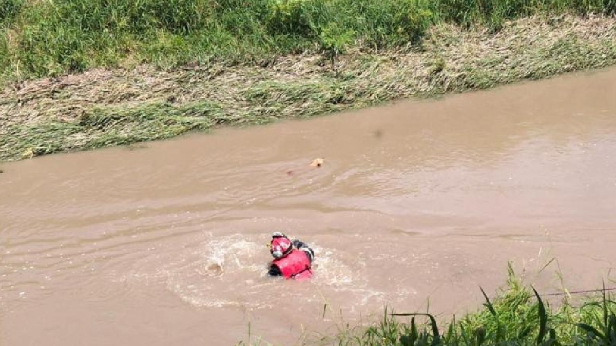 El perrito se encontraba asustado por la situación que vivió. Foto: Facebook Bomberos de Juventino Rosas.