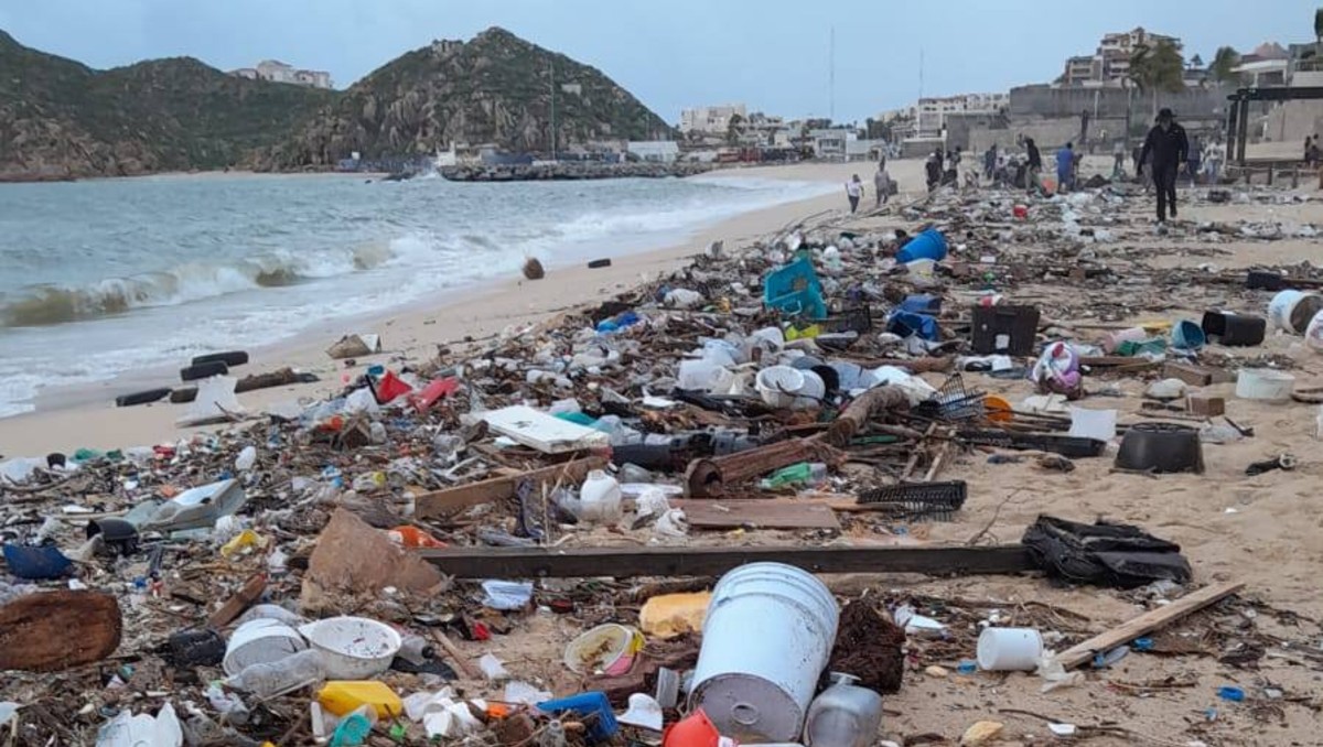 Playas contaminadas en Los Cabos. (Foto: Especial)