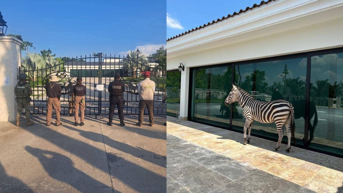 Estas acciones se llevaron a cabo en un operativo coordinado de la SSPC y la Guardia Nacional.
