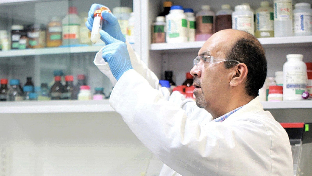 Los expertos llamaron a fomentar la concientización de la población sobre el dengue. | Especial
