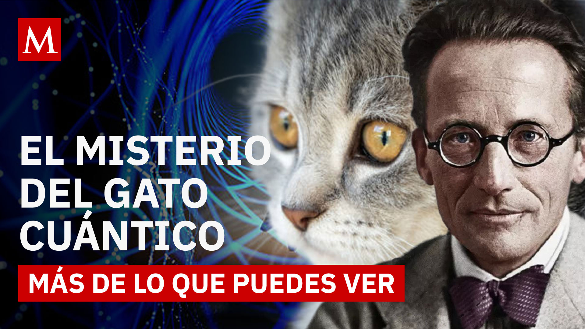 Física cuántica para curiosos: ¿Puede algo estar vivo y muerto a la vez?