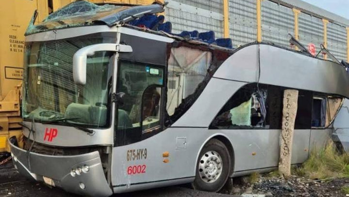 El autobús trató de ganarle el paso al tren. | Especial