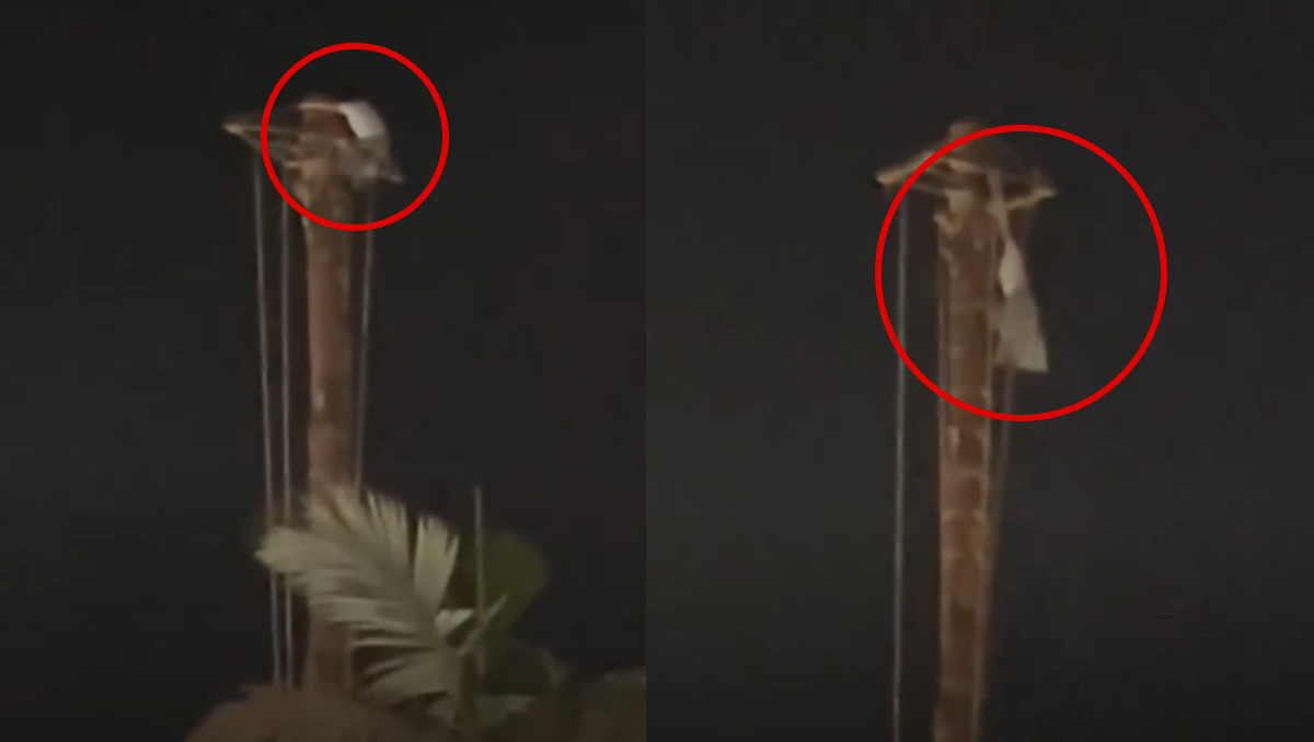 Mujer sube al palo ceremonial de los voladores y casi cae en Cuetzalan | Especial
