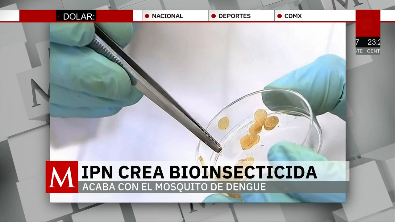 IPN desarrolla bioinsecticida para combatir mosquitos del dengue