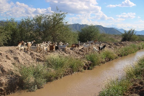 En La Laguna, mantienen alerta por creciente del río Aguanaval. (Rolando Riestra)