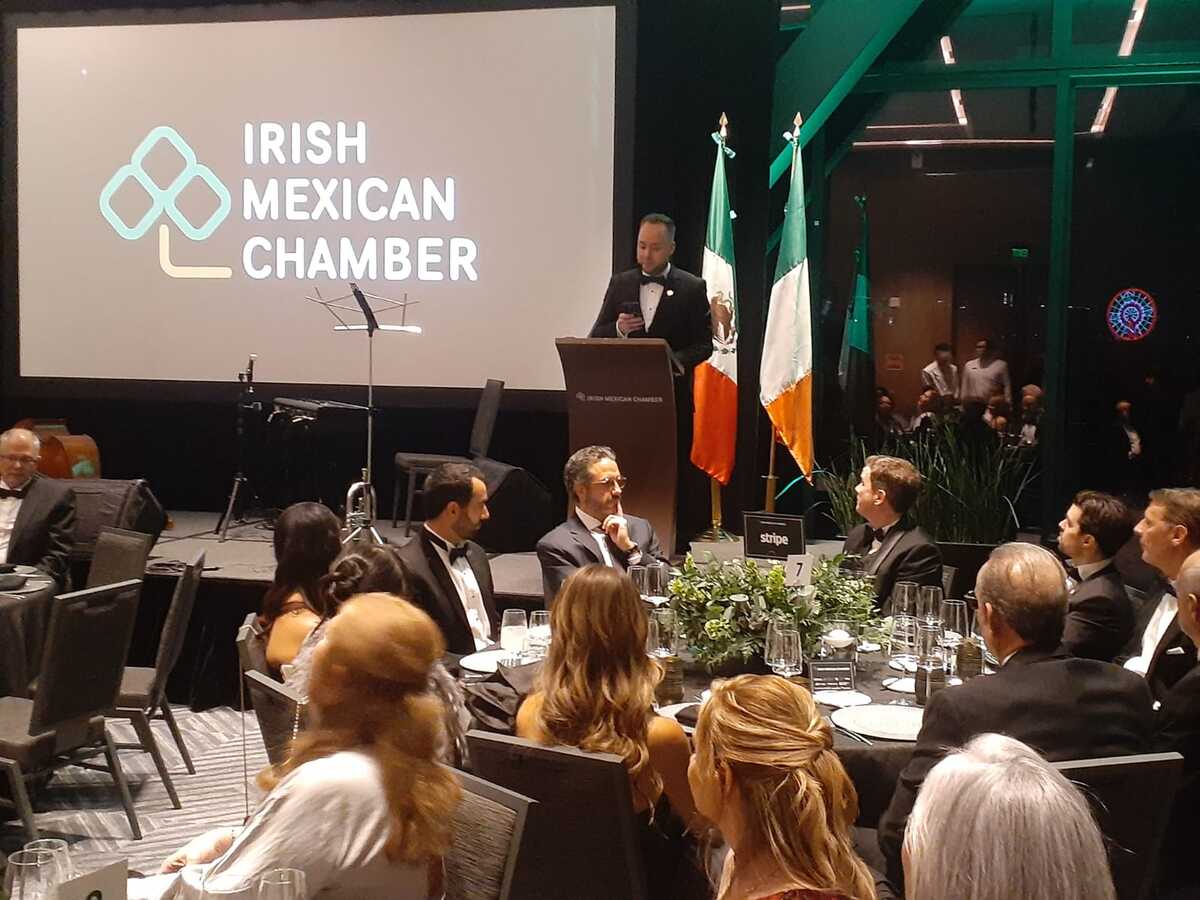 Blaine Doyle, presidente de la Irish Mexican Chamber. Foto: Especial