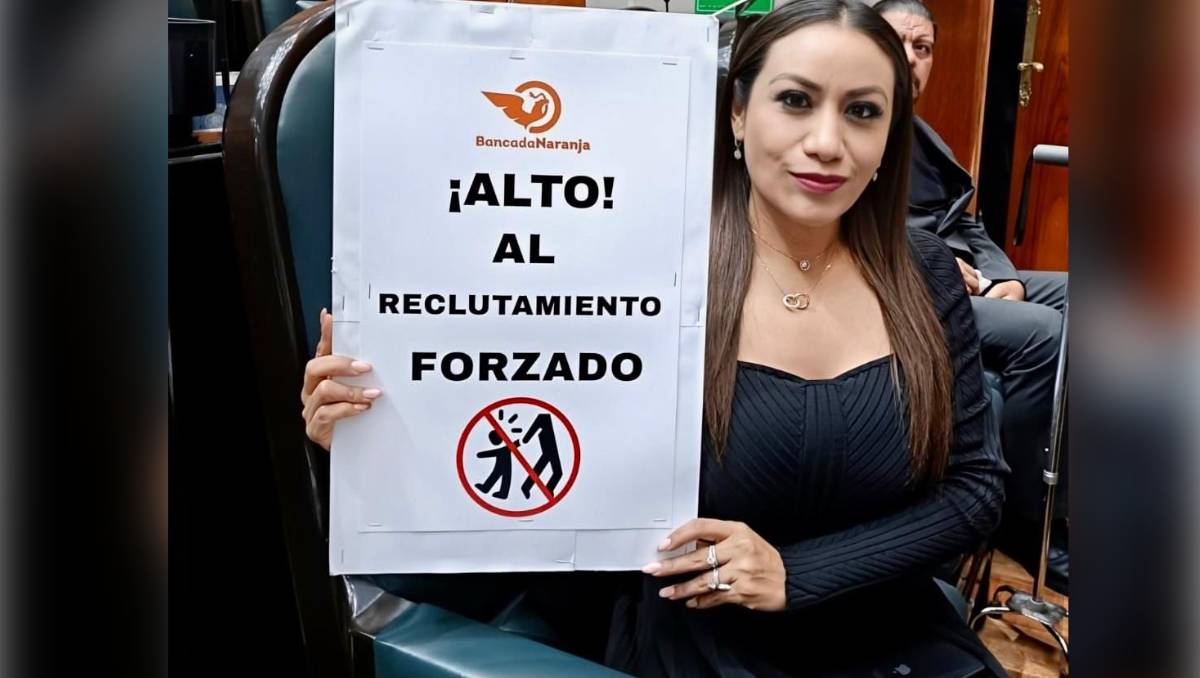 Diputada Ruth Salinas propone sancionar con hasta 30 años el reclutamiento forzado de niñas, niños y adolescentes. Especial