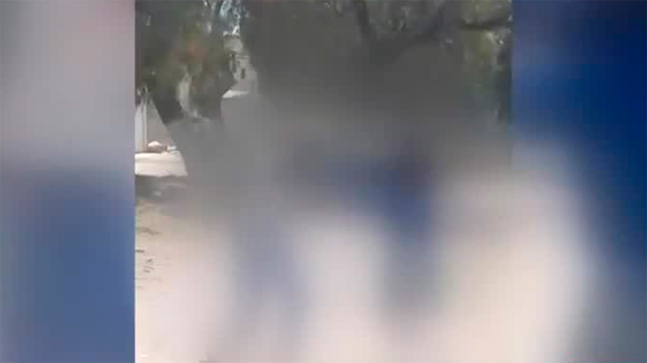 Liberan a Azahara 'N', menor sentenciada por el homicidio de Norma Lizbeth en Teotihuacán