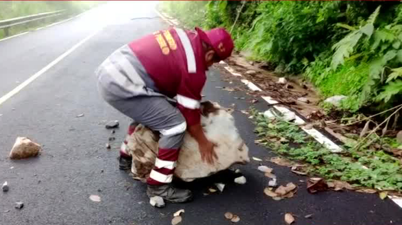 Derrumbes en Hidalgo por las lluvias causan afectaciones en diversas carreteras