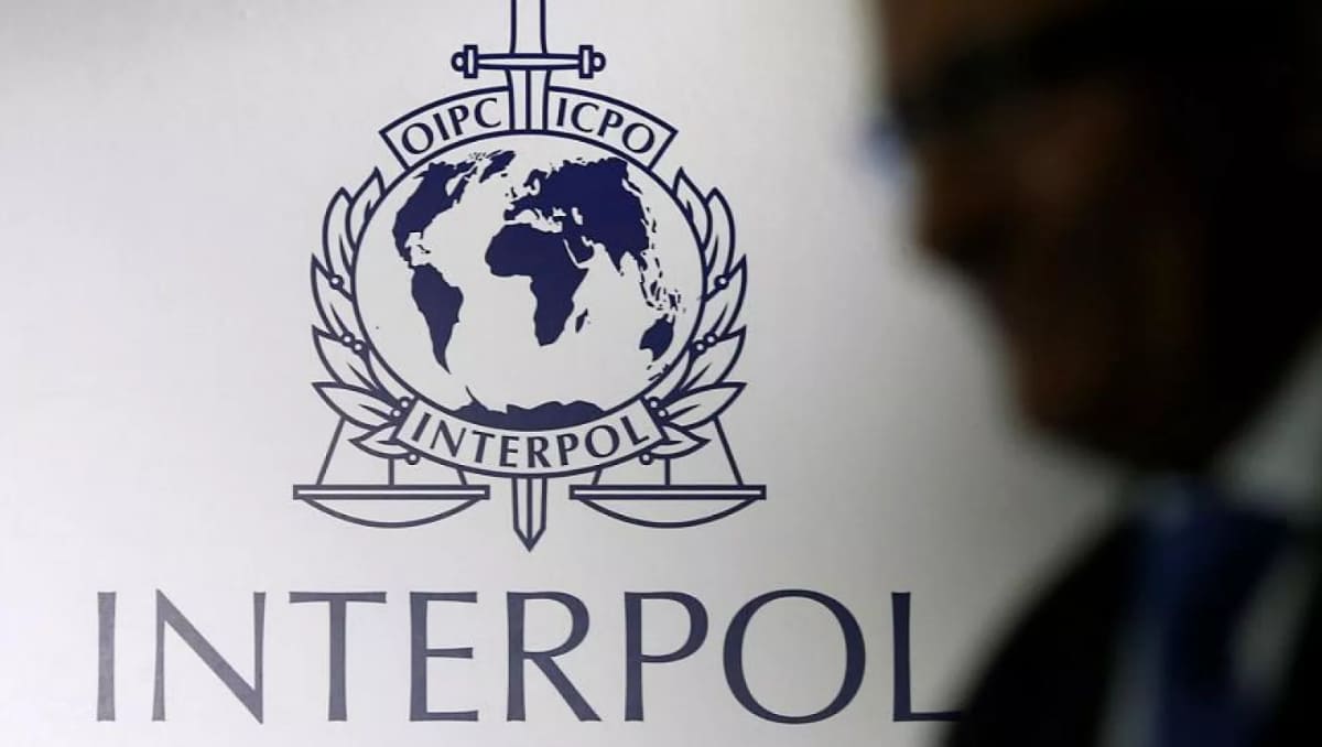 La Interpol se encarga de facilitar el intercambio y acceso a información sobre delitos y delincuentes | Especial