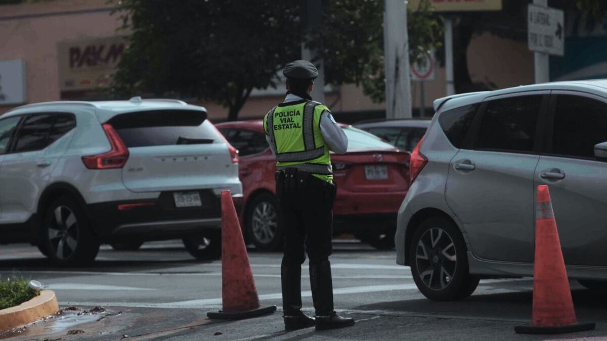 Jalisco va contra placas de otros estados (Fernando Carranza)