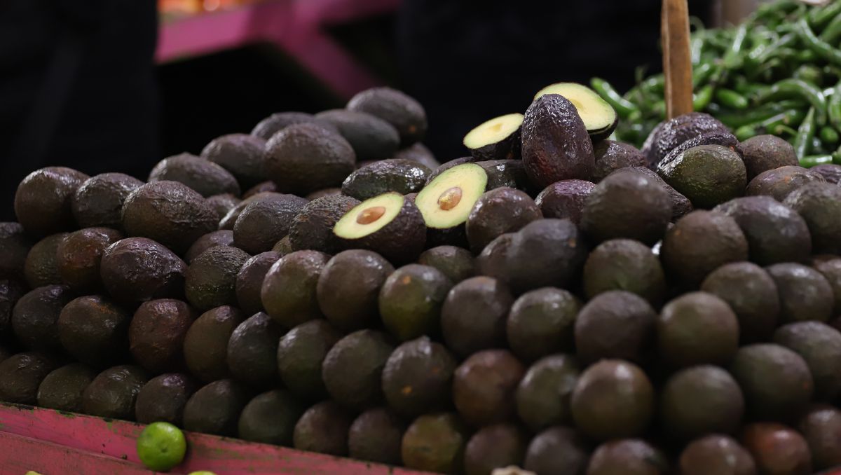 El aguacate ha bajado 21 por ciento en su precio este año con respecto al año anterior, por lo que el guacamole saldrá más barato. Luis Guerra