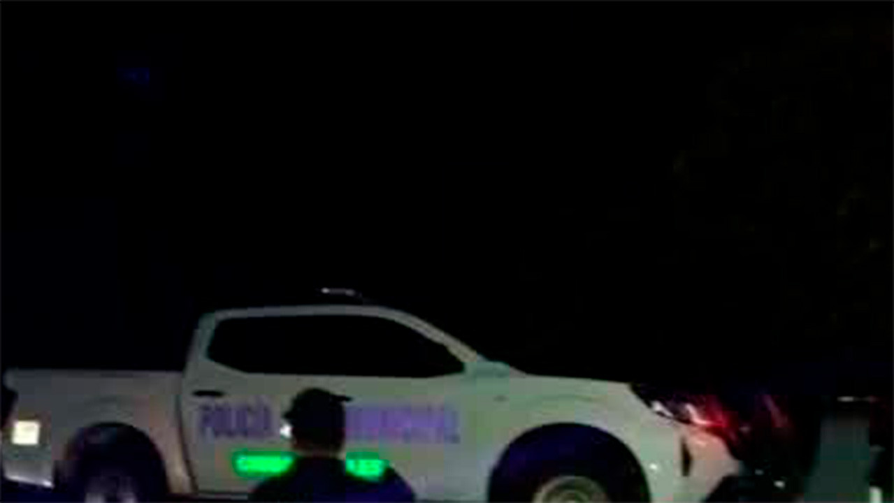 Autoridades de San Luis Potosí detectan y aseguran "patrullas fantasmas"