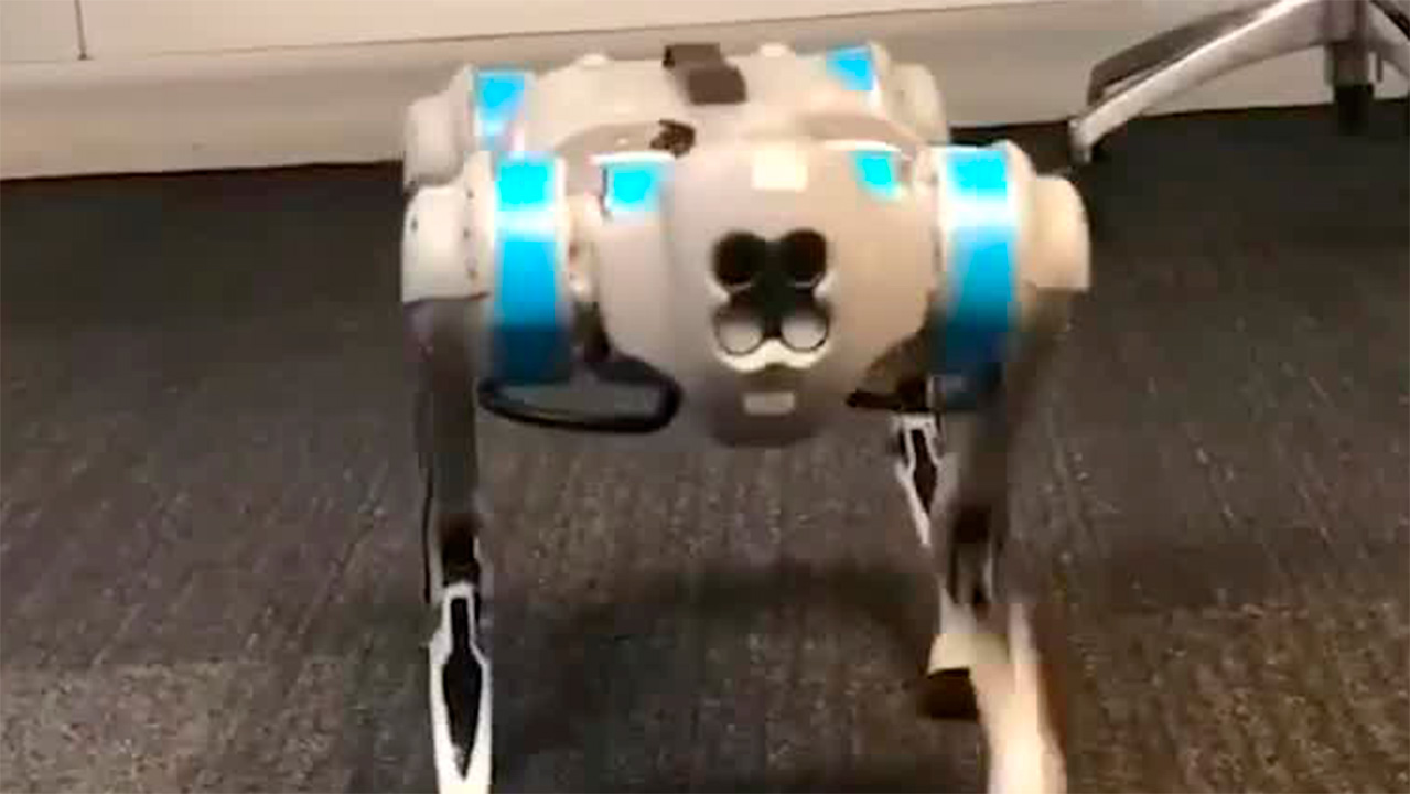 ¡El futuro de la policía! Zapopan presenta al primer perro robot