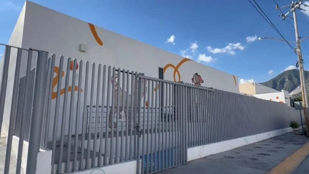 Los hechos se denunciaron en el Centro de Atención Canino y Felino (Cacyf) de Santa Catarina. Especial