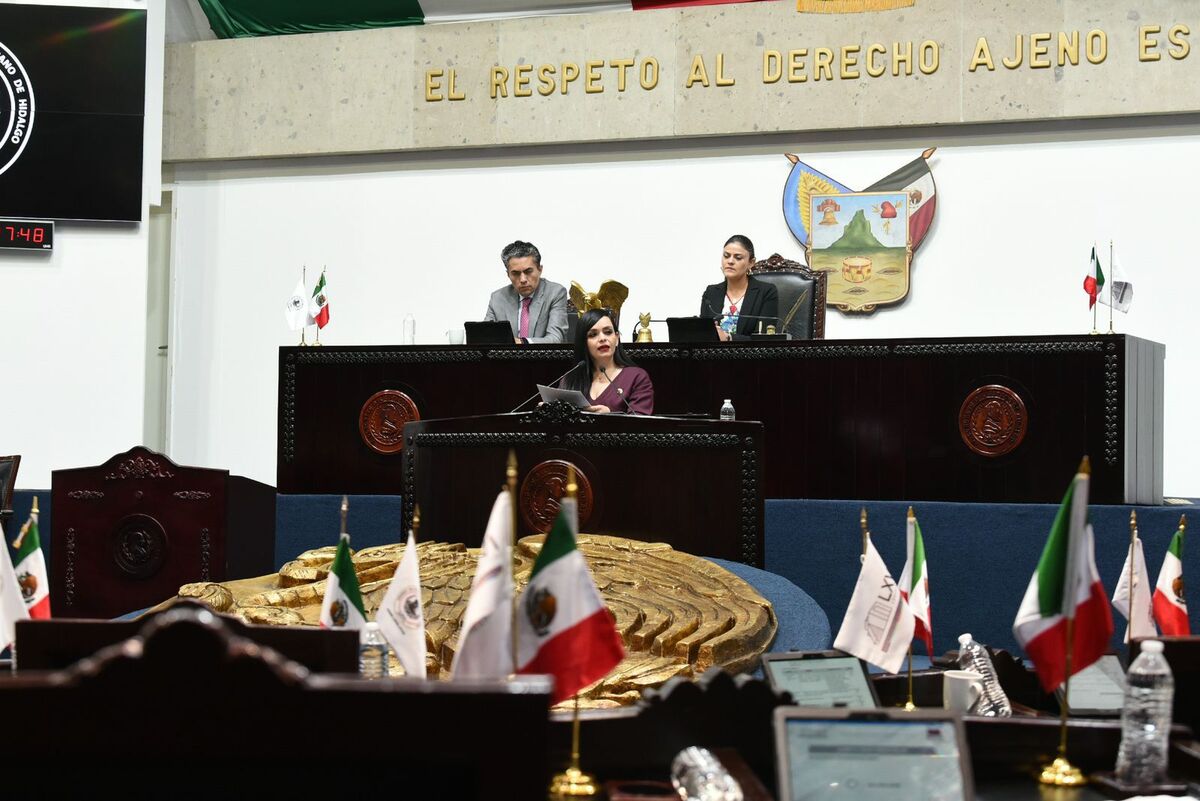 Paloma Barragán, diputada de Morena. (Cortesía)