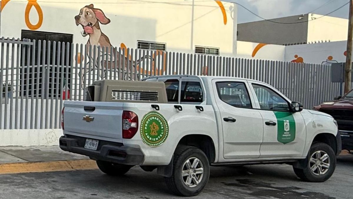 La Procuraduría Ambiental de NL constató buenas condiciones de los animales que reciben resguardo en el sitio. Especial