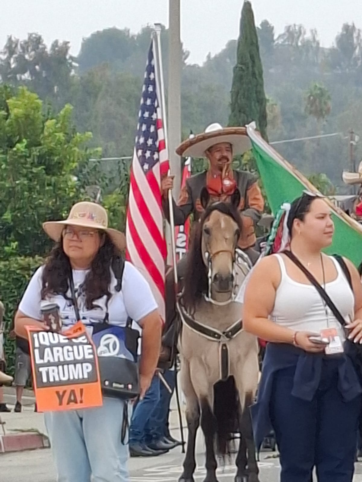 Durante más de cuatro horas, los mexicanos presenciaron el desfile. | Foto: Liliana Padilla