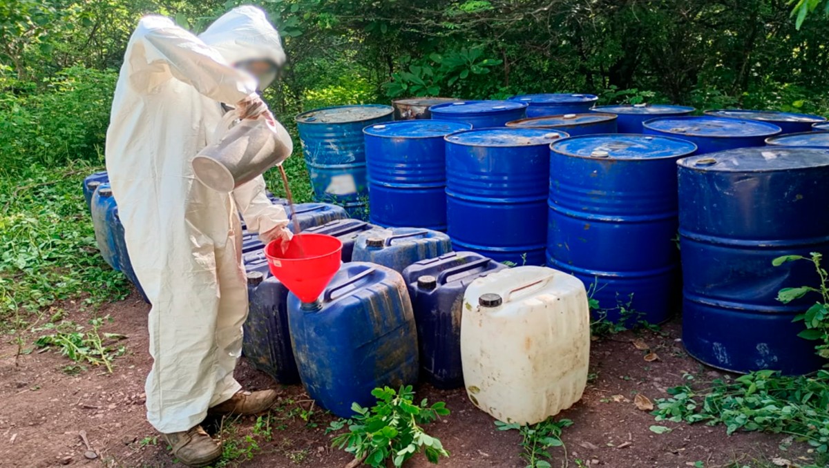 Aseguran áreas de concentración de material para fabricar droga en Sinaloa. | SSPC