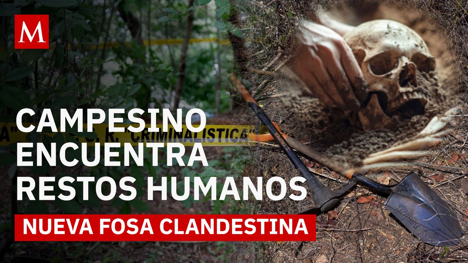 Nuevo hallazgo en Guerrero: alertan a colectivos y autoridades de fosas clandestinas