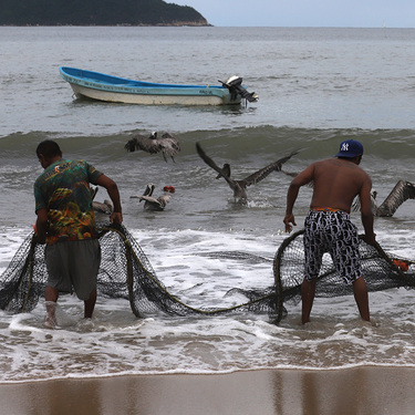 El paso del Huracán afecto la bahía de Acapulco donde decenas de pescadores artesanales lanzan sus redes cada mañana