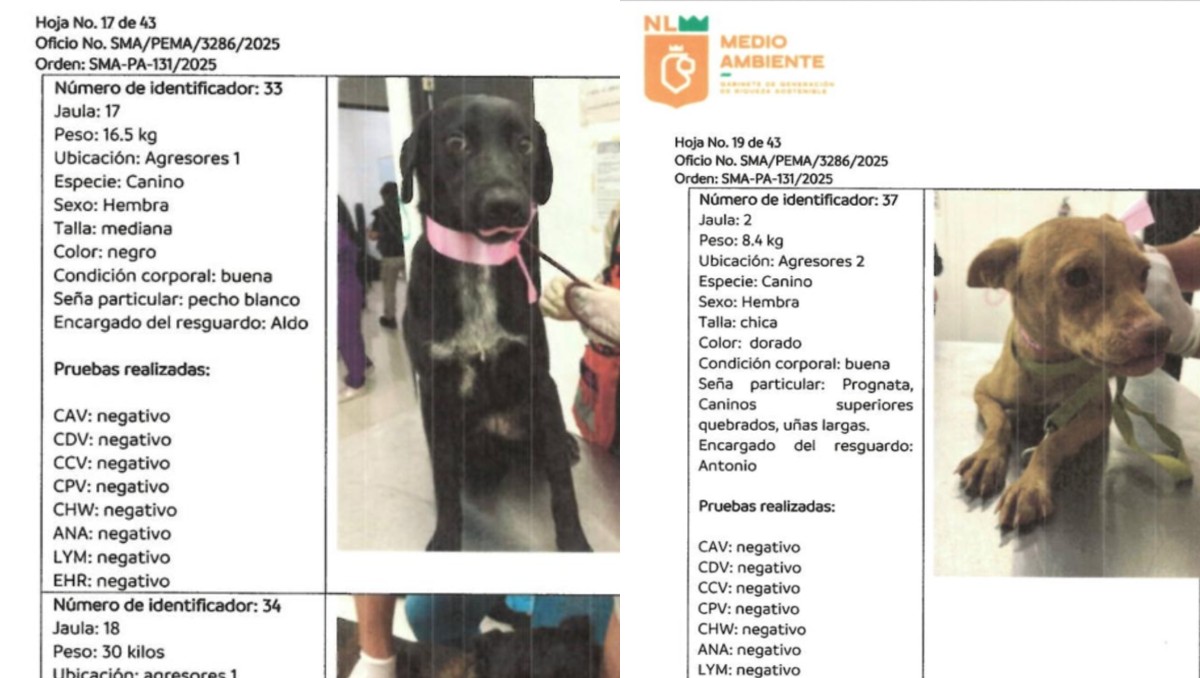 El municipio declaró que  los resultados quedaron asentadas en cartas de supervisión. Foto: Especial