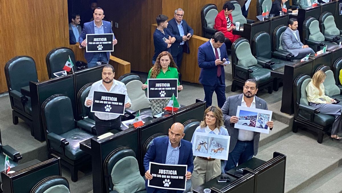 Plantean reformas contra el maltrato animal en Nuevo León. | Kevin Recio