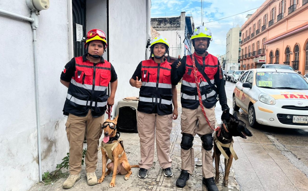 Los caninos forman parte de una pequeña escuela de adiestramiento que apenas comienza a consolidarse en la ciudad. | Erik Saldaña