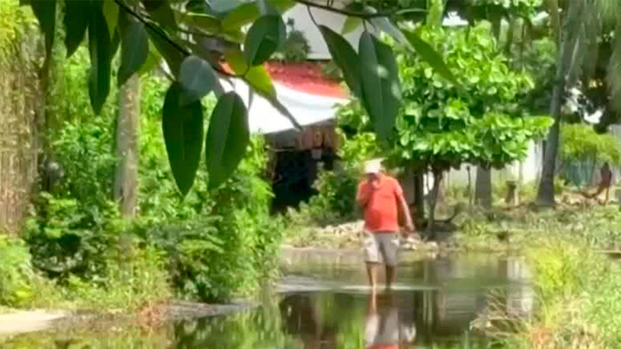 Desbordamiento de un arroyo deja 58 viviendas afectadas en Guerrero
