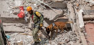Labores de rescate realizadas durante el sismo del 19 de septiembre del 2017