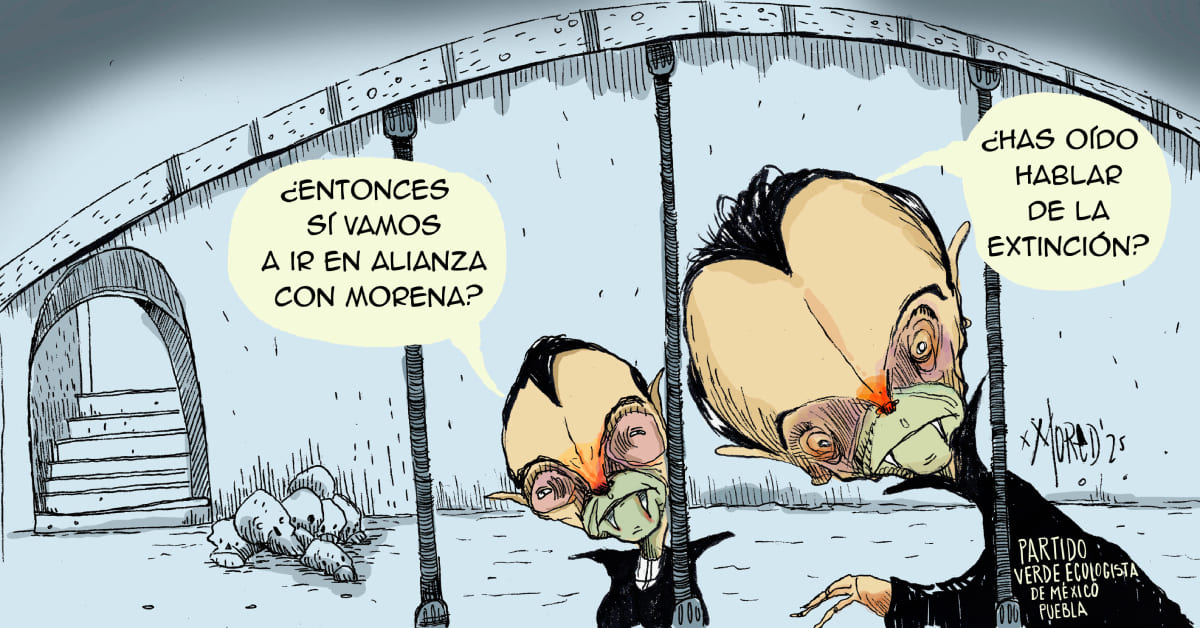 Miedo
