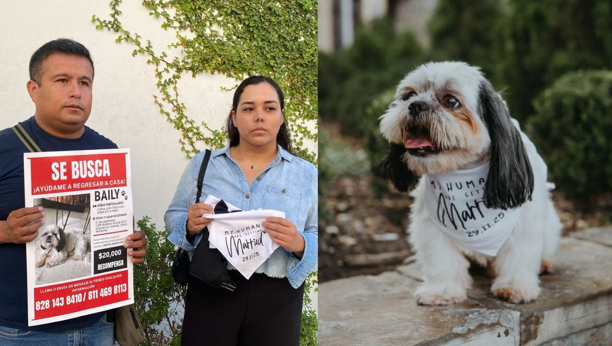 El perrito se llama Baily y desapareció el pasado 7 de septiembre. | Erik Solheim