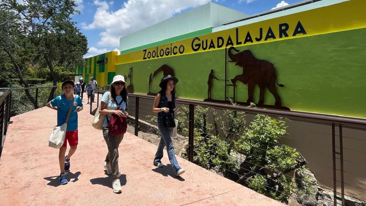 Zoológico de Guadalajara considerado el mejor de LATAM (Cortesía)