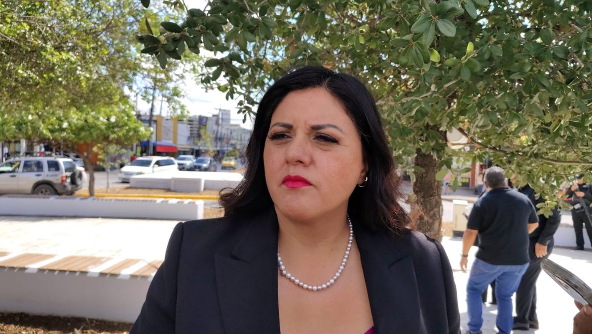 La Presidenta del Congreso Local, Itzel Castillo, pidió al gobernador respetar la decisión que los diputados tomen. | Foto: Orlando Maldonado