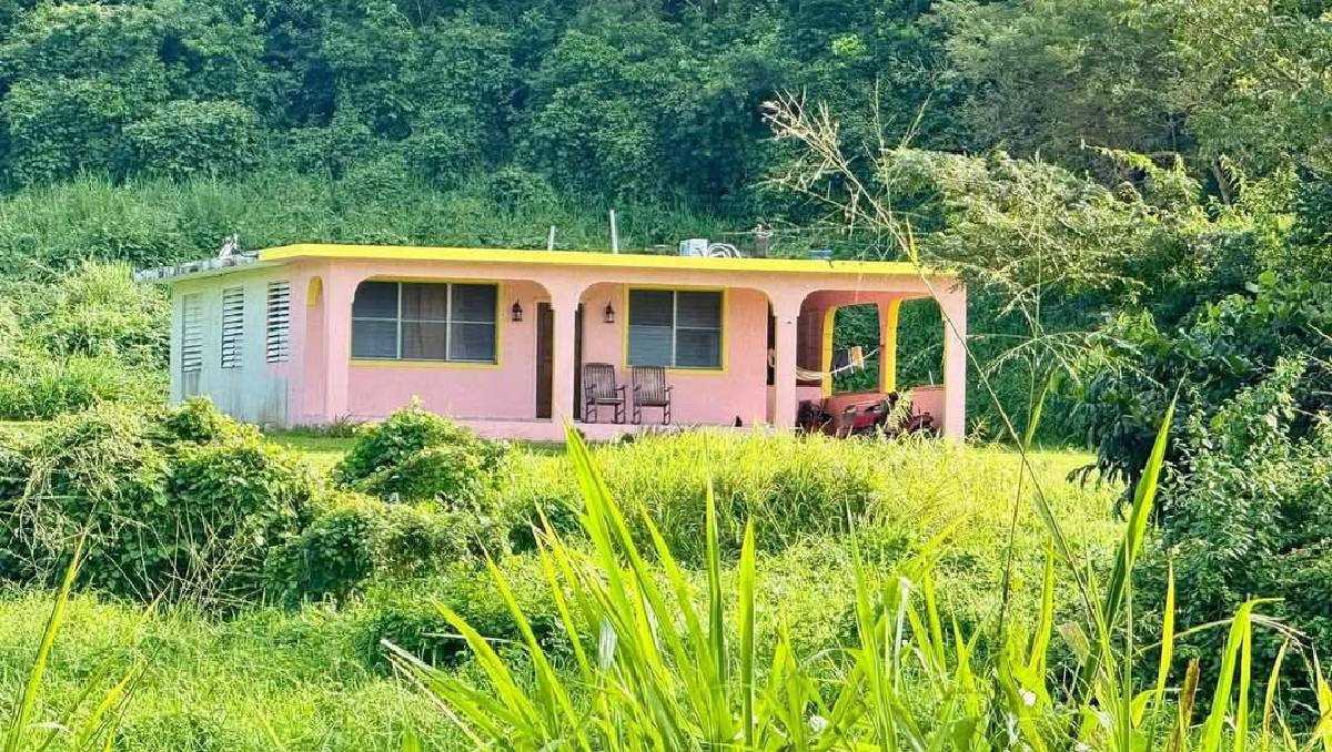 Disparan contra casa donde se grabó video de Bad Bunny | Especial