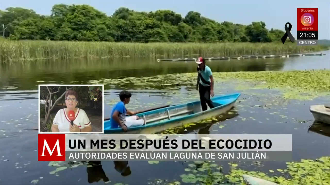 Ecocidio en la laguna San Julián de Veracruz provoca denuncias ciudadanas