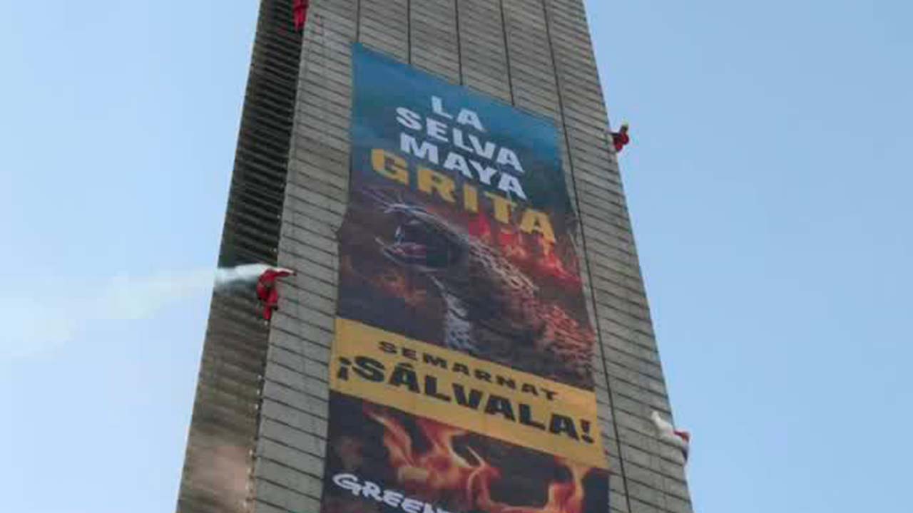 Activistas de Greenpeace escalan Estela de Luz; exigen protección de la selva maya | Milenio Hábitat