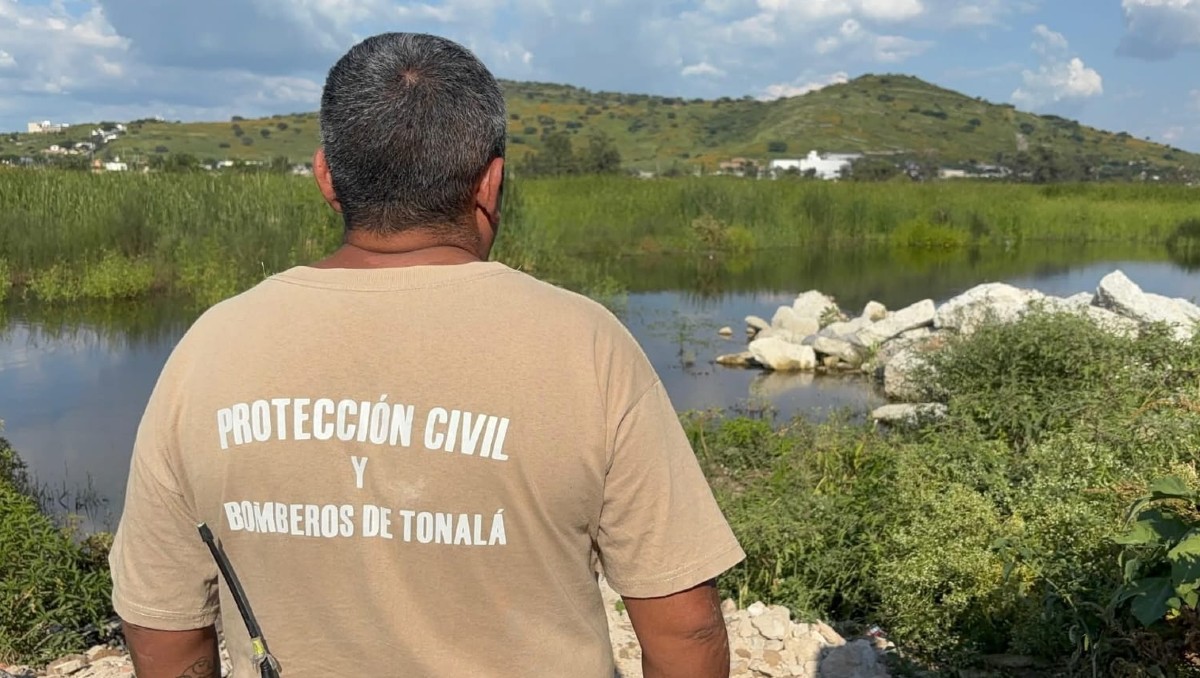 Bomberos de Tonalá localizaron al cocodrilo y lo mantienen bajo vigilancia para evitar percances (Cortesía)