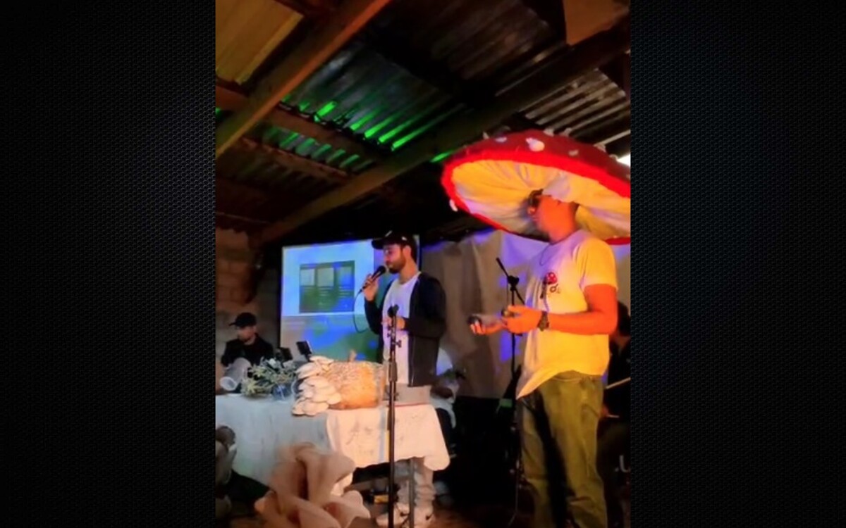 El grupo hace música con vibraciones.